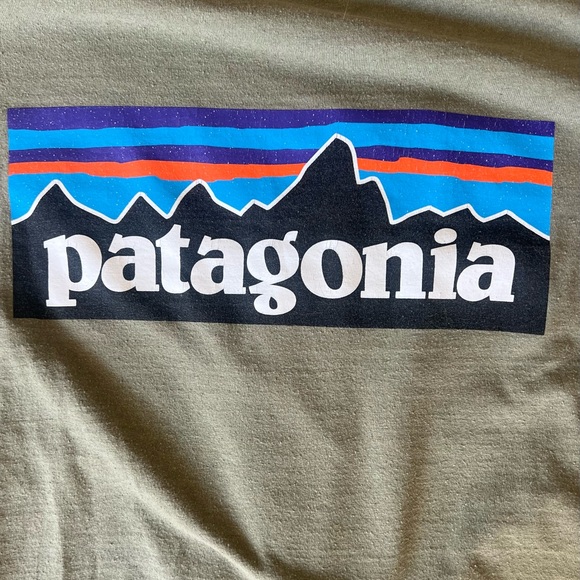 Patagonia Other - Patagonia Men's Green T-Shirt